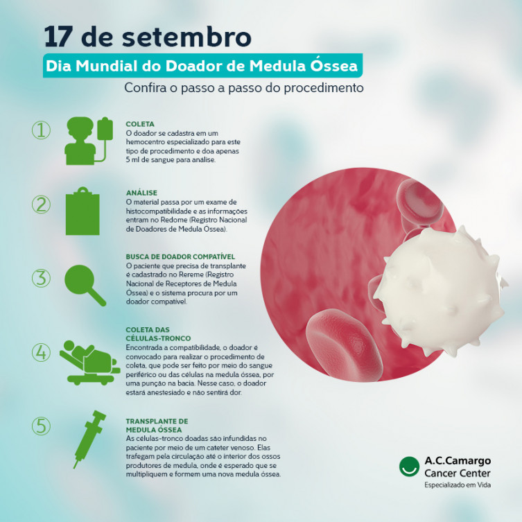 MS celebra Dia Mundial do Doador de Medula Óssea com 186 mil cadastros MS celebra Dia Mundial do Doador de Medula Óssea com 186 mil cadastros